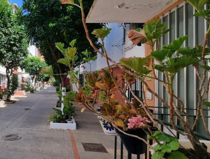 Apartamento Triana Apartment Seville Exterior photo